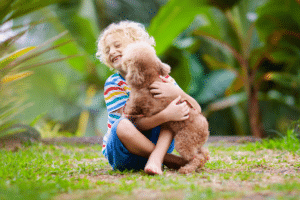 At the end of a pet custody dispute, a boy is reunited with his dog in a park.